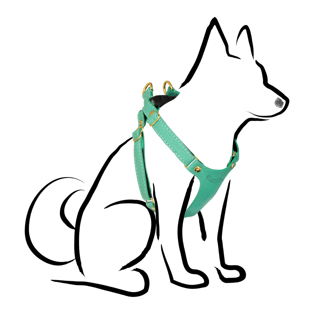 Leather Small Dog Harness - Rowlie - Mint Green #style_mint-green-leather