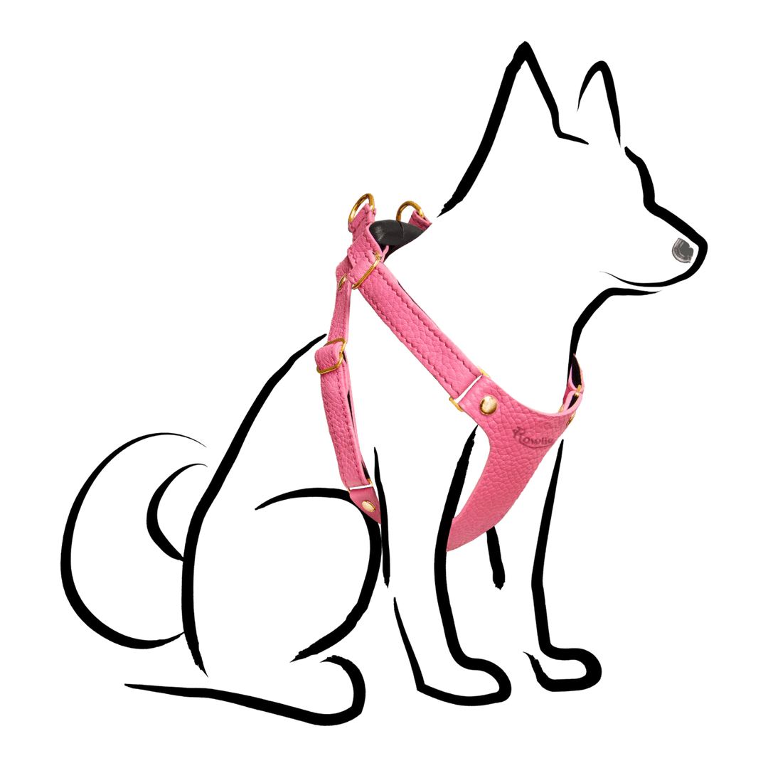 Leather Small Dog Harness - Rowlie - Rose Pink #style_rose-pink-leather