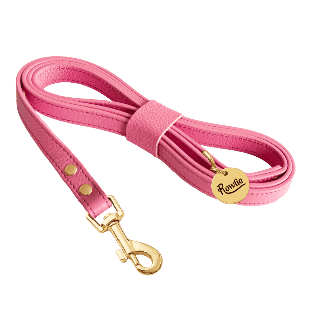 Leather Small Dog Leash - Rowlie #style_rose-pink-leather