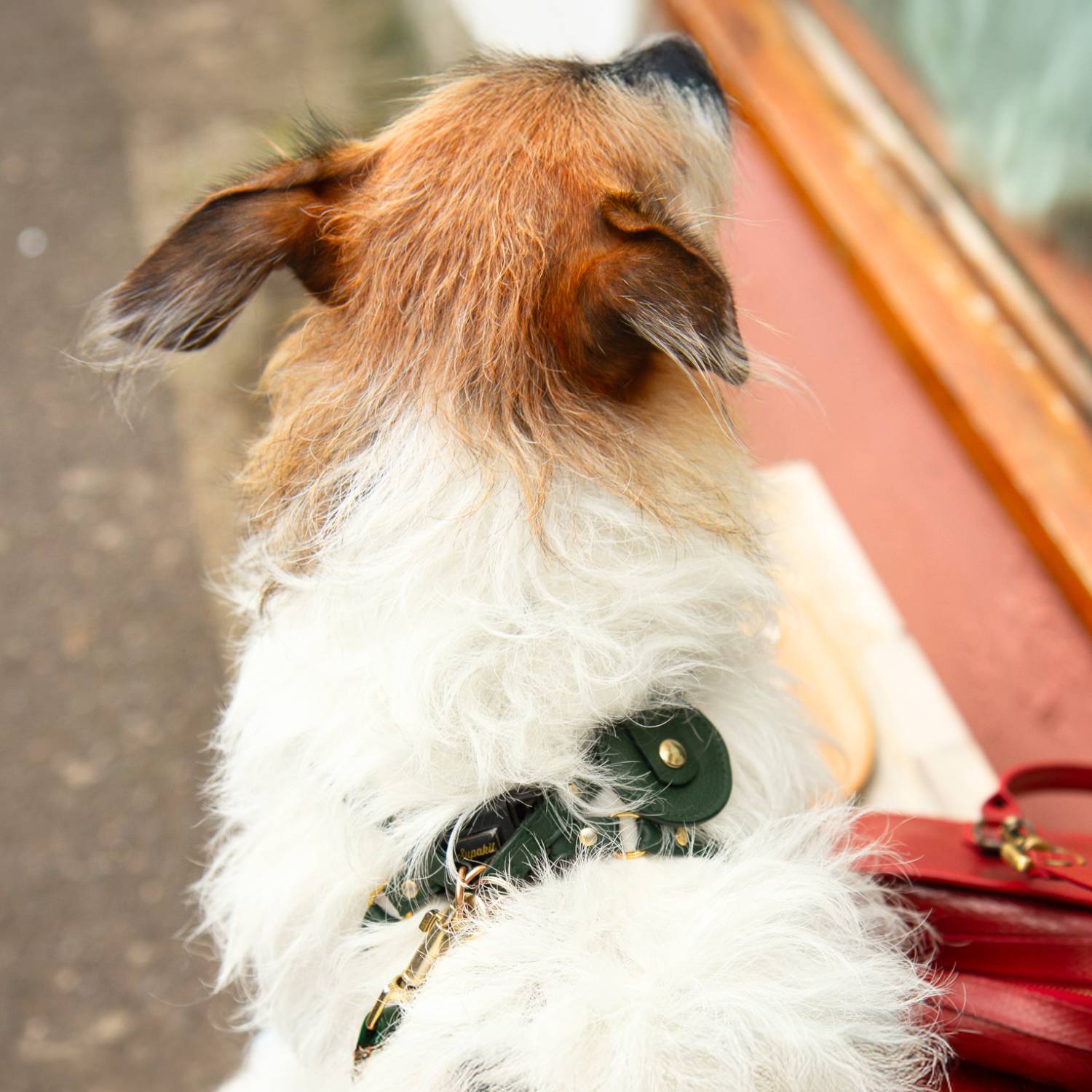 AirTag Holder Leather #style_emerald-green-leather