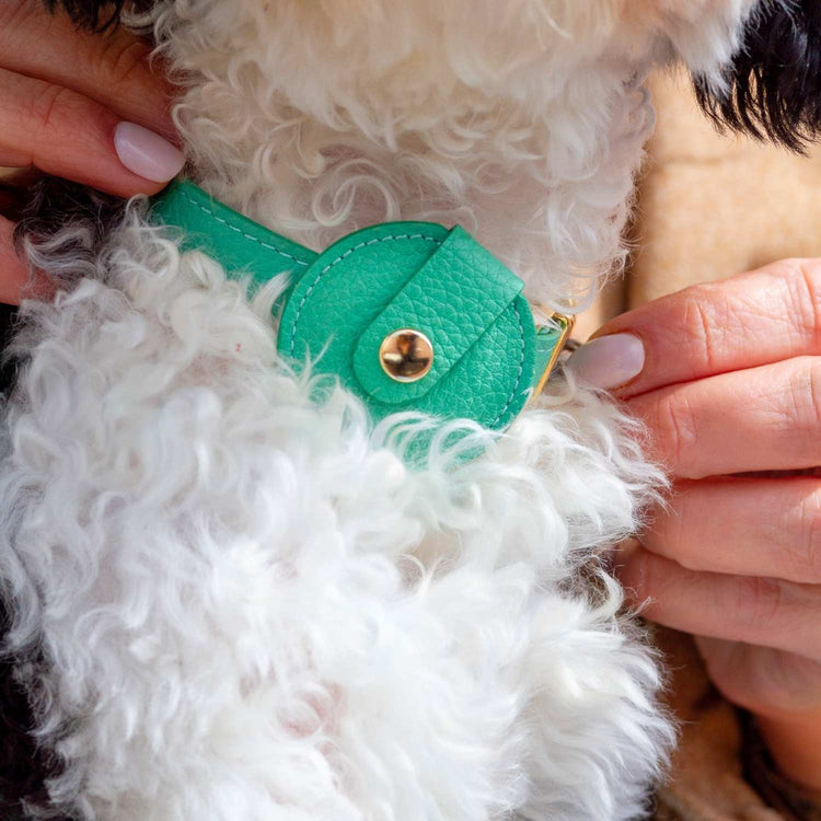 AirTag Holder For Dog #style_mint-green-leather