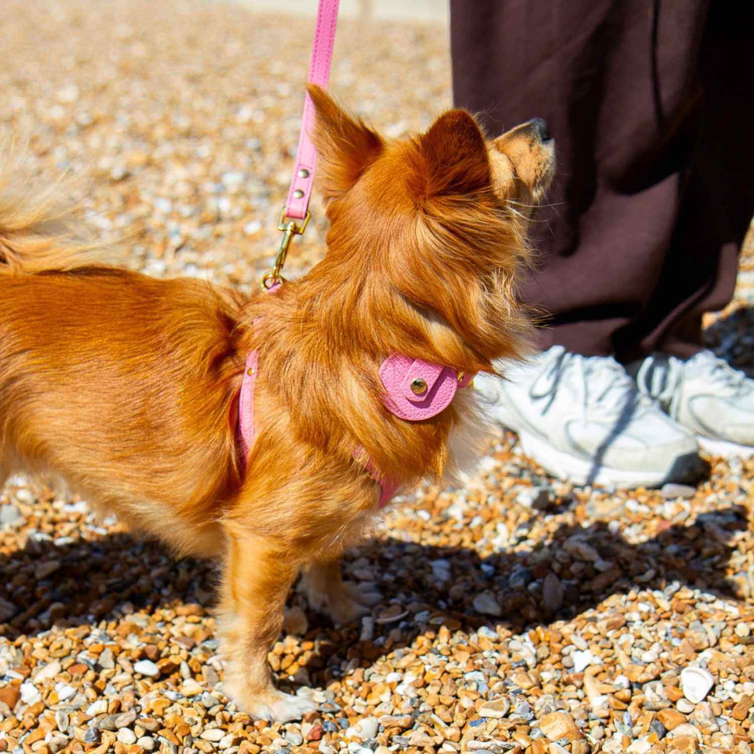 AirTag Holder For Dog #style_rose-pink-leather