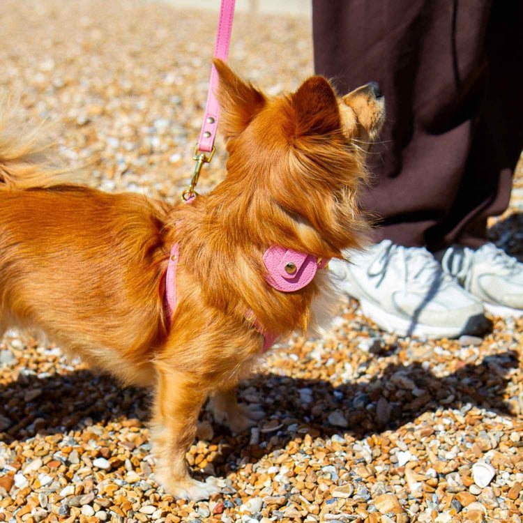 AirTag Holder For Dog #style_rose-pink-leather