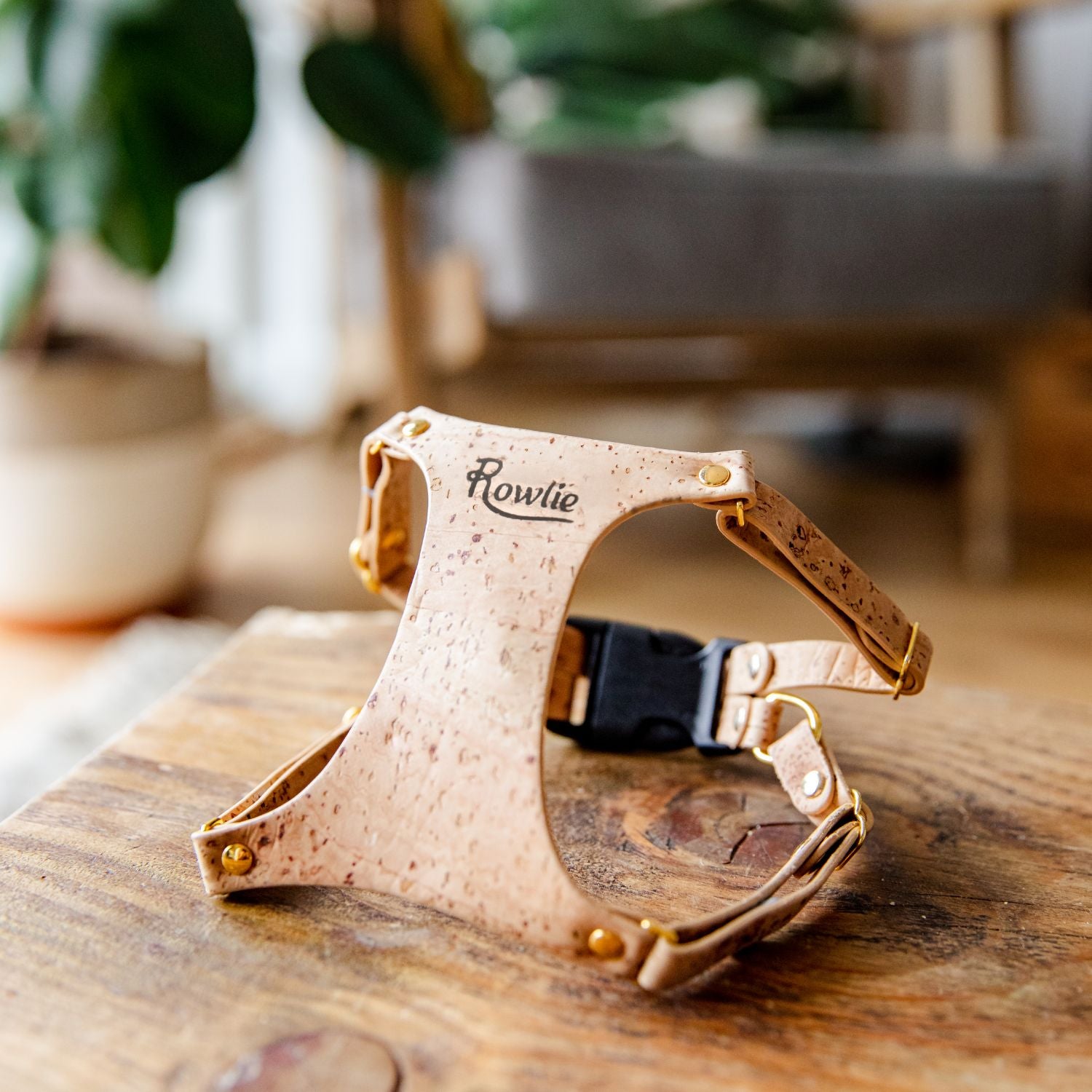 Best Small Dog Harness #style_natural-vegan-cork