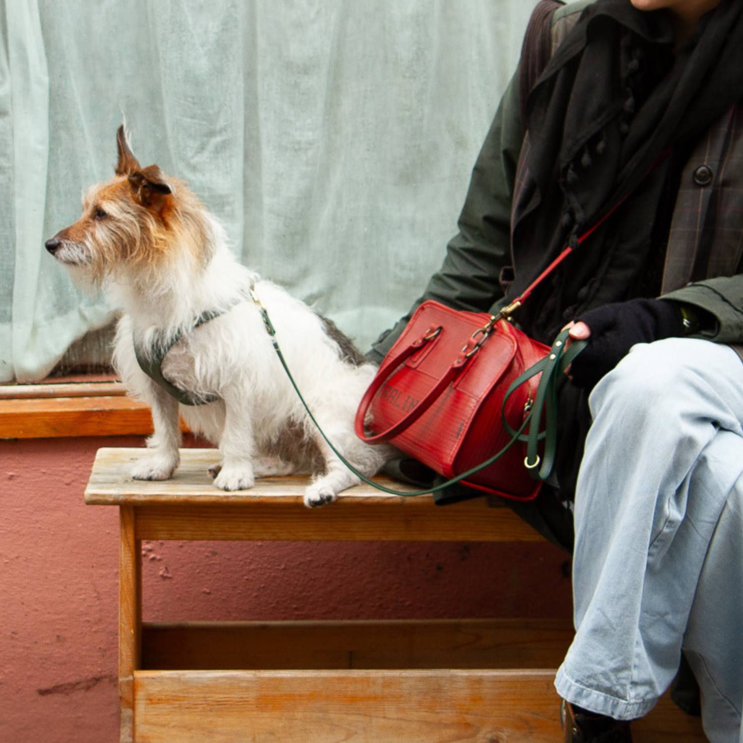 Best Small Dog Leash #style_emerald-green-leather