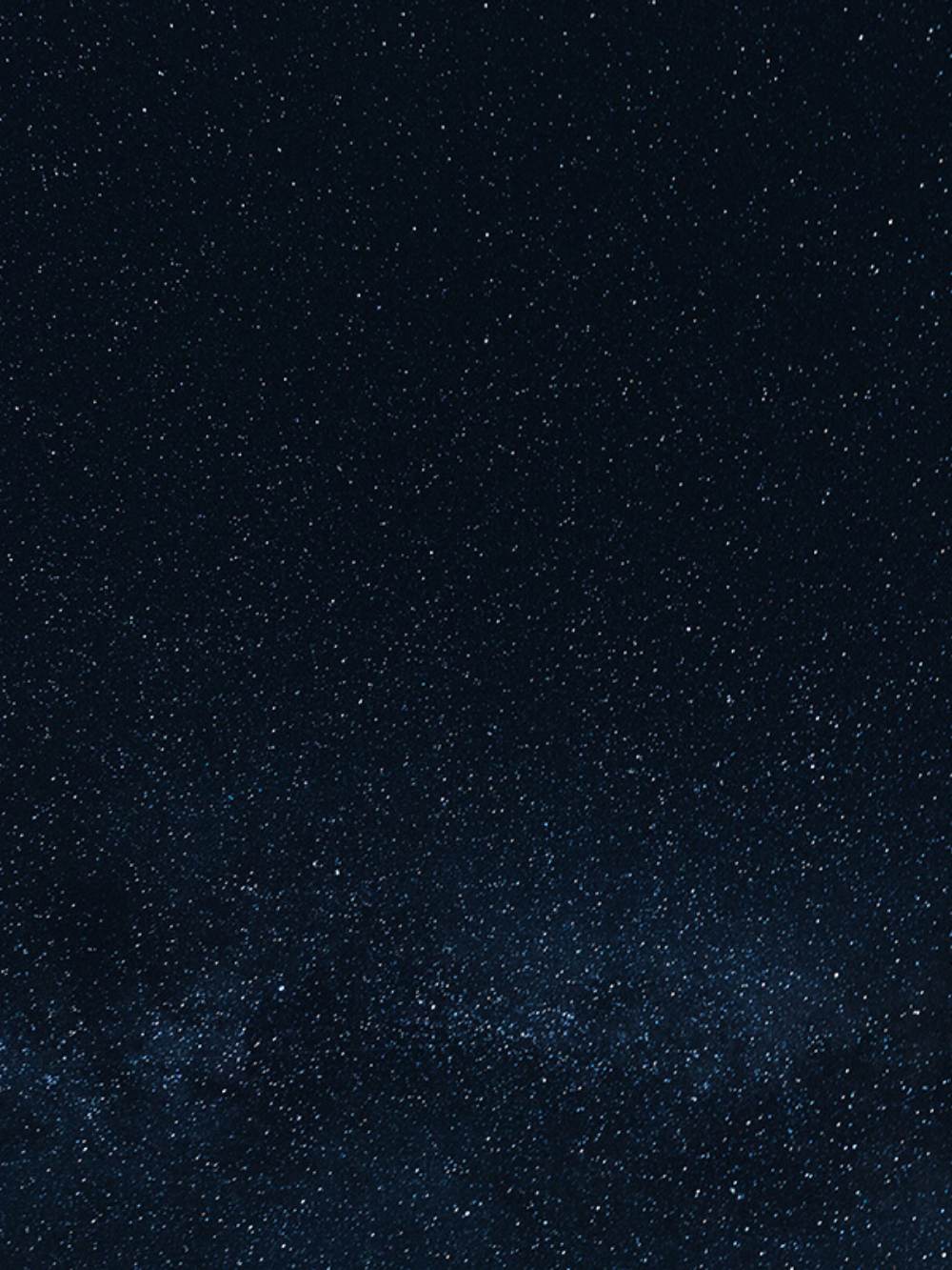 Save up to 30% off Rowlie accessories for Small Dogs