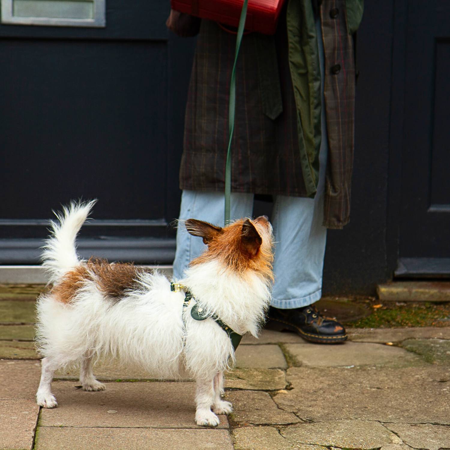 Dog AirTag Holder #style_emerald-green-leather
