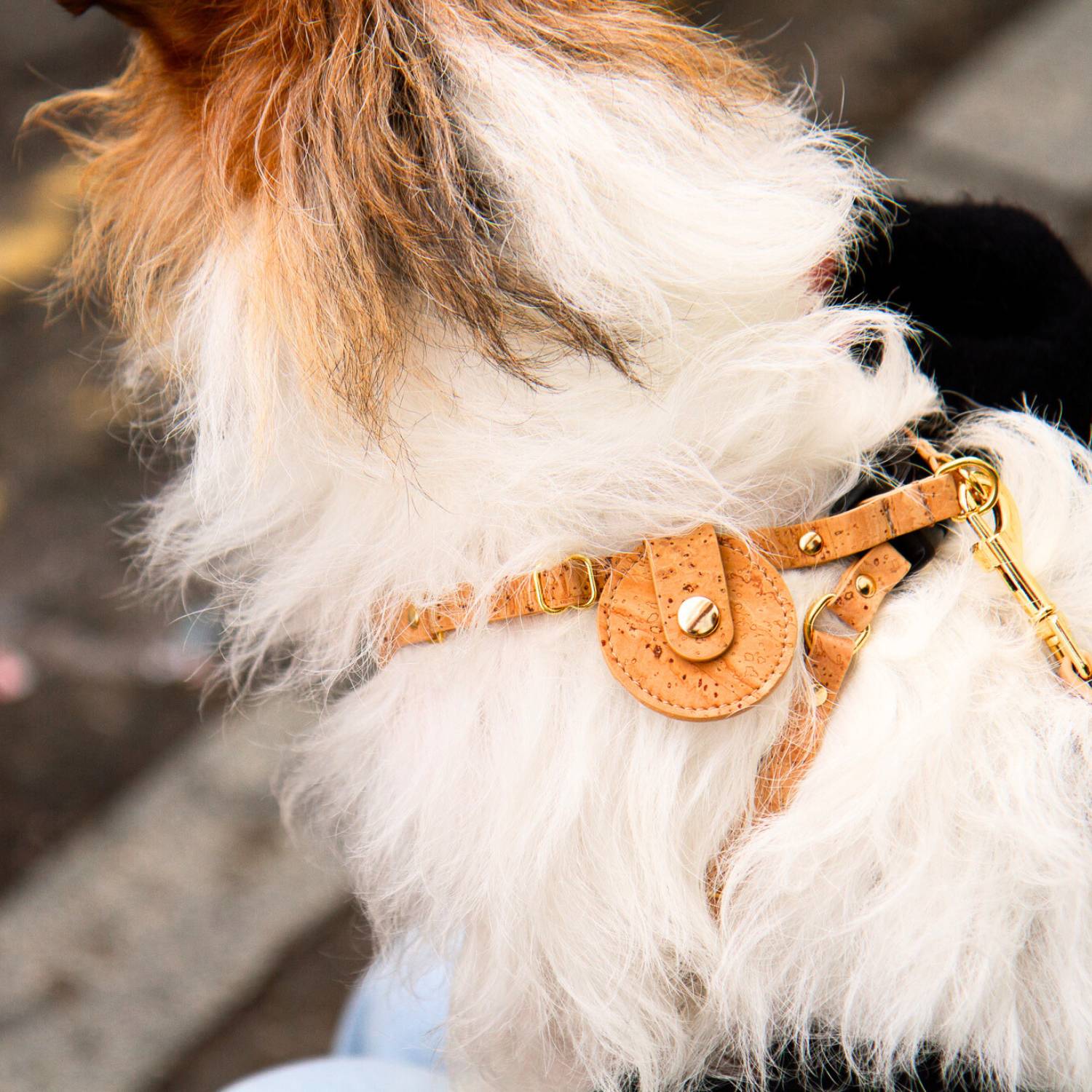 Dog Collar With AirTag Holder #style_natural-vegan-cork