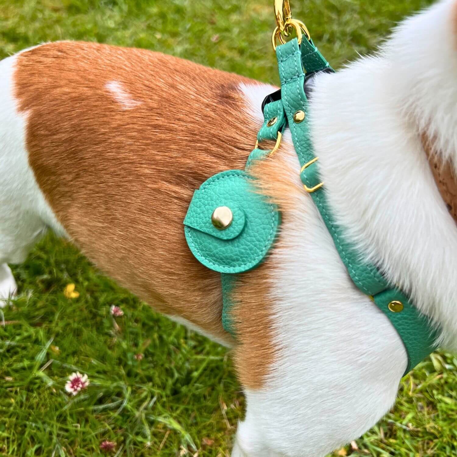 Dog Harness With AirTag Holder #style_mint-green-leather