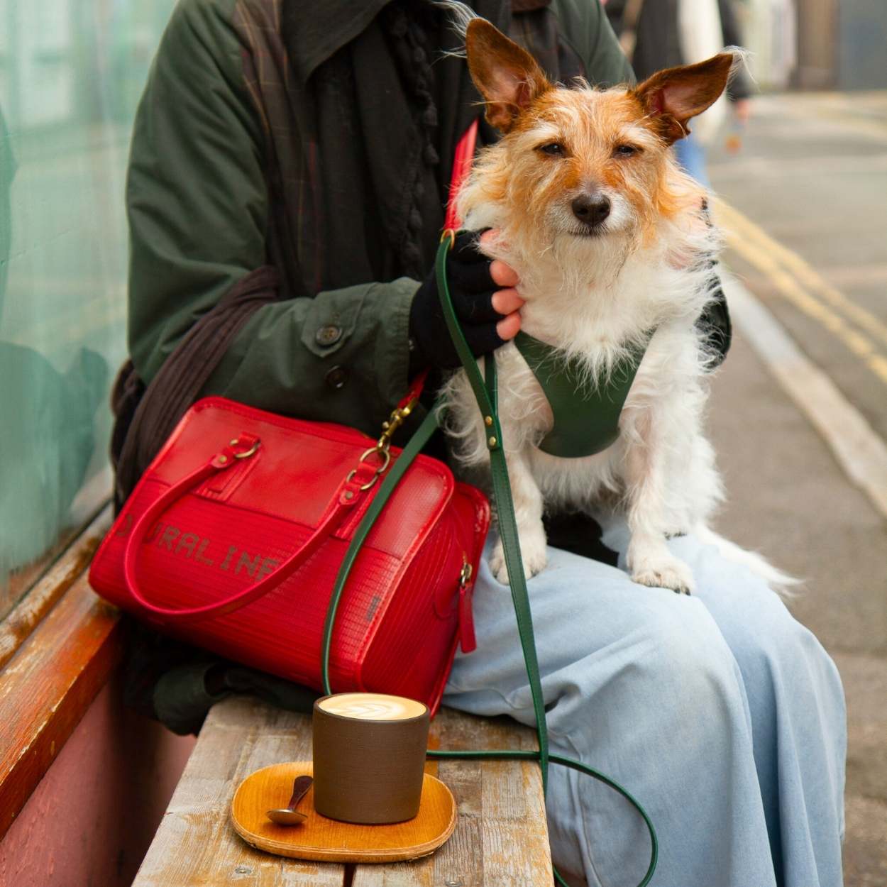 Dog Leash Small #style_emerald-green-leather
