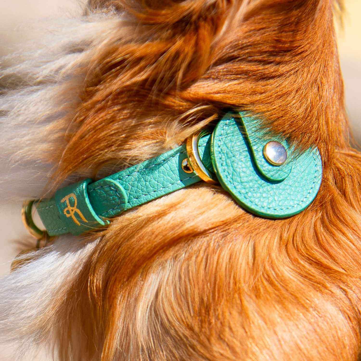 Dog AirTag Holder #style_mint-green-leather