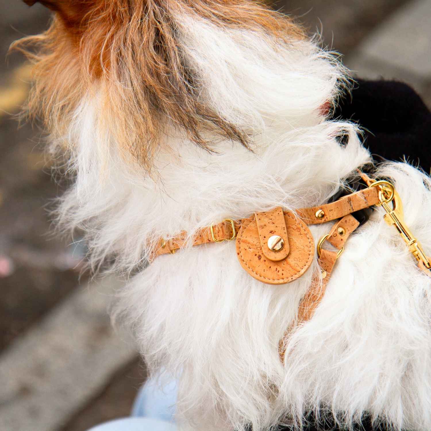 Dog Collar AirTag Holder #style_natural-vegan-cork