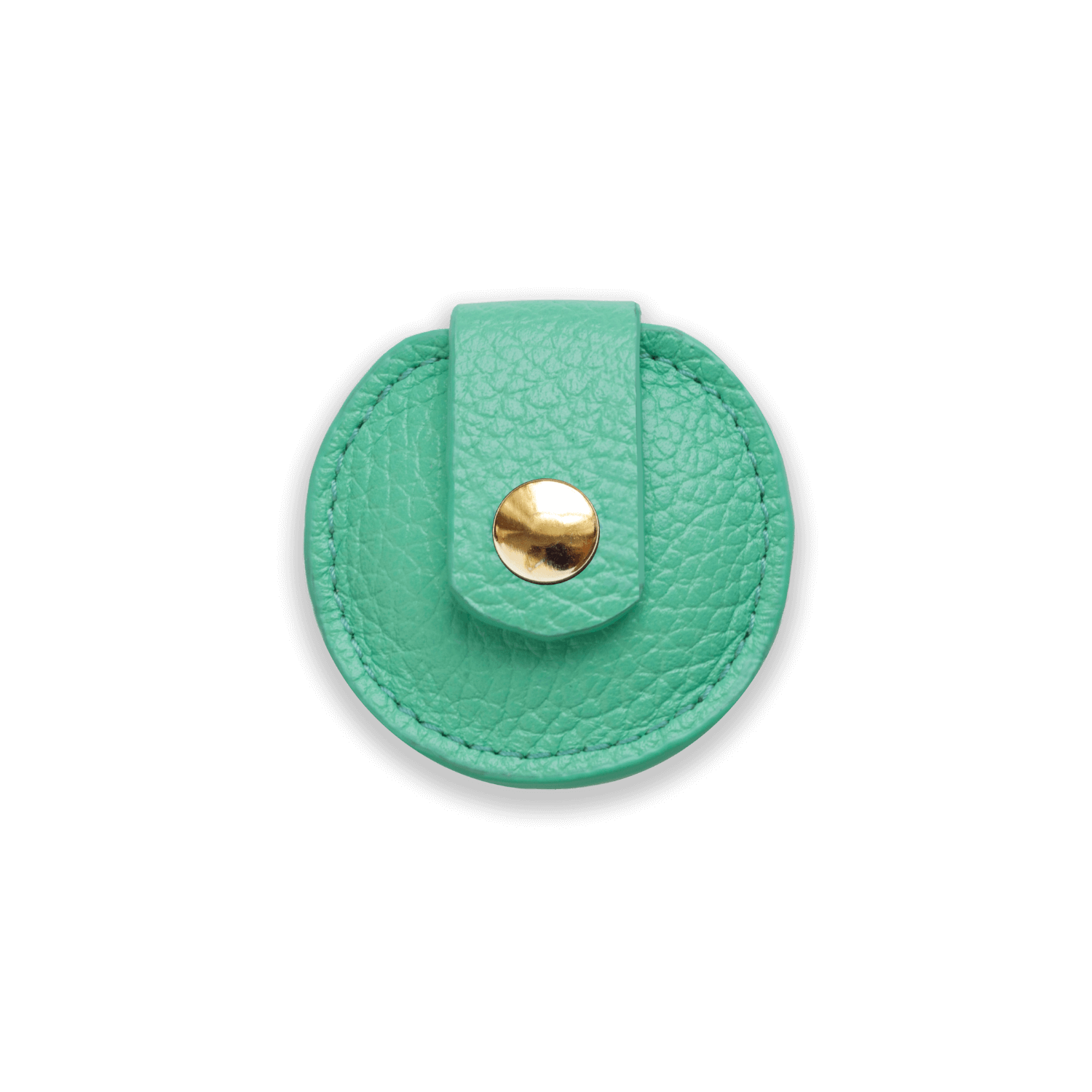 Dog Collar With AirTag Holder #style_mint-green-leather