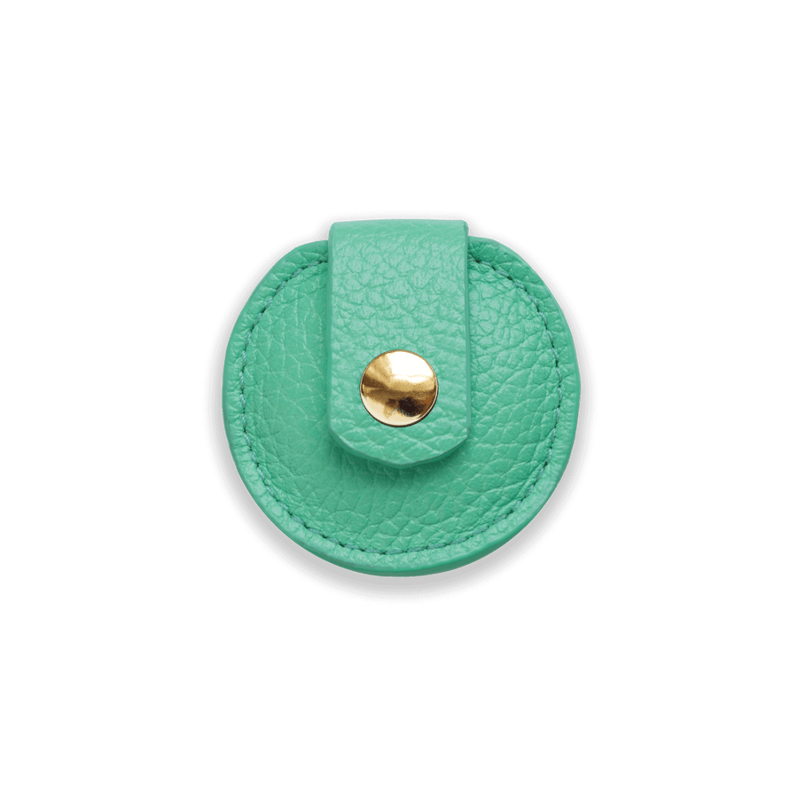 Dog Collar With AirTag Holder #style_mint-green-leather