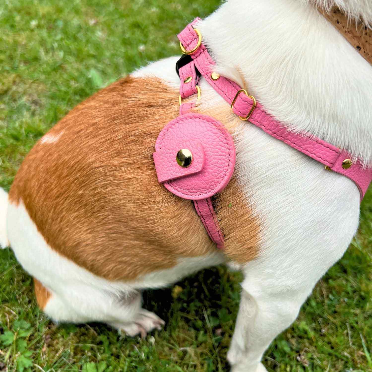 Dog Harness With AirTag Holder #style_rose-pink-leather