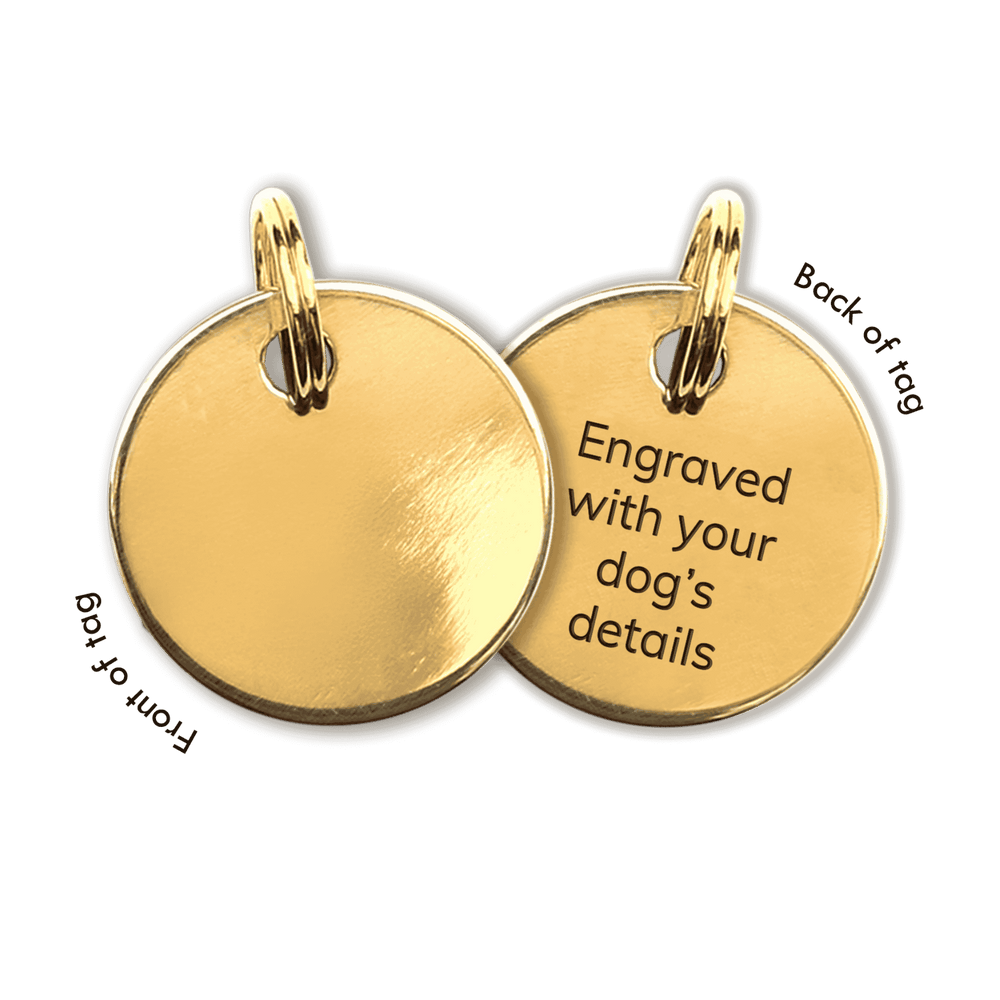 ID Tag Dog - Rowlie - Gold #engraving_one-sided