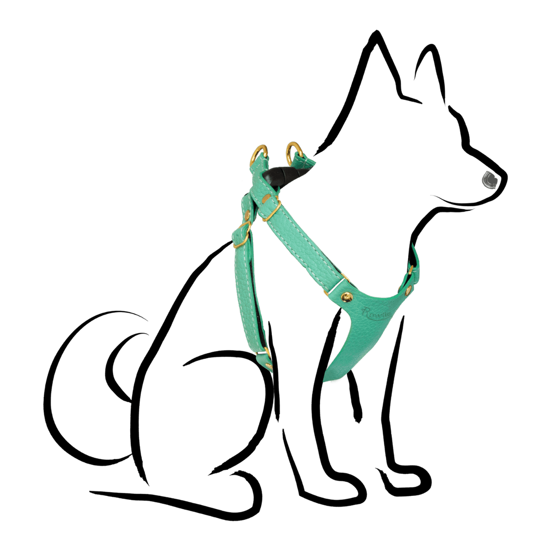 Leather Small Dog Harness - Rowlie - Mint Green #color_mint-green