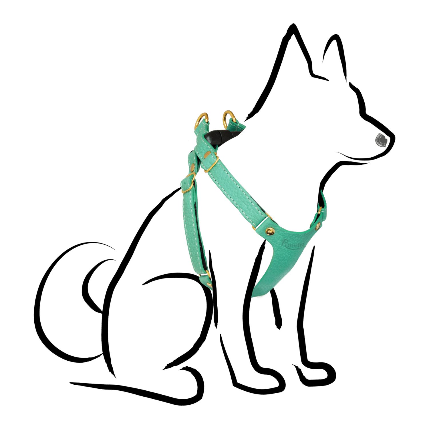 Leather Small Dog Harness - Rowlie - Mint Green #style_mint-green-leather