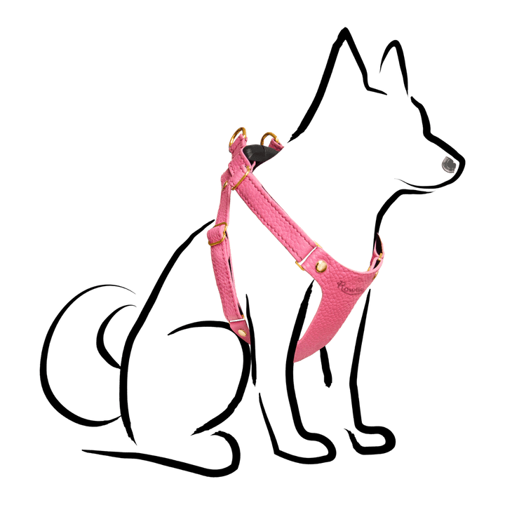 Leather Small Dog Harness - Rowlie - Rose Pink #color_rose-pink