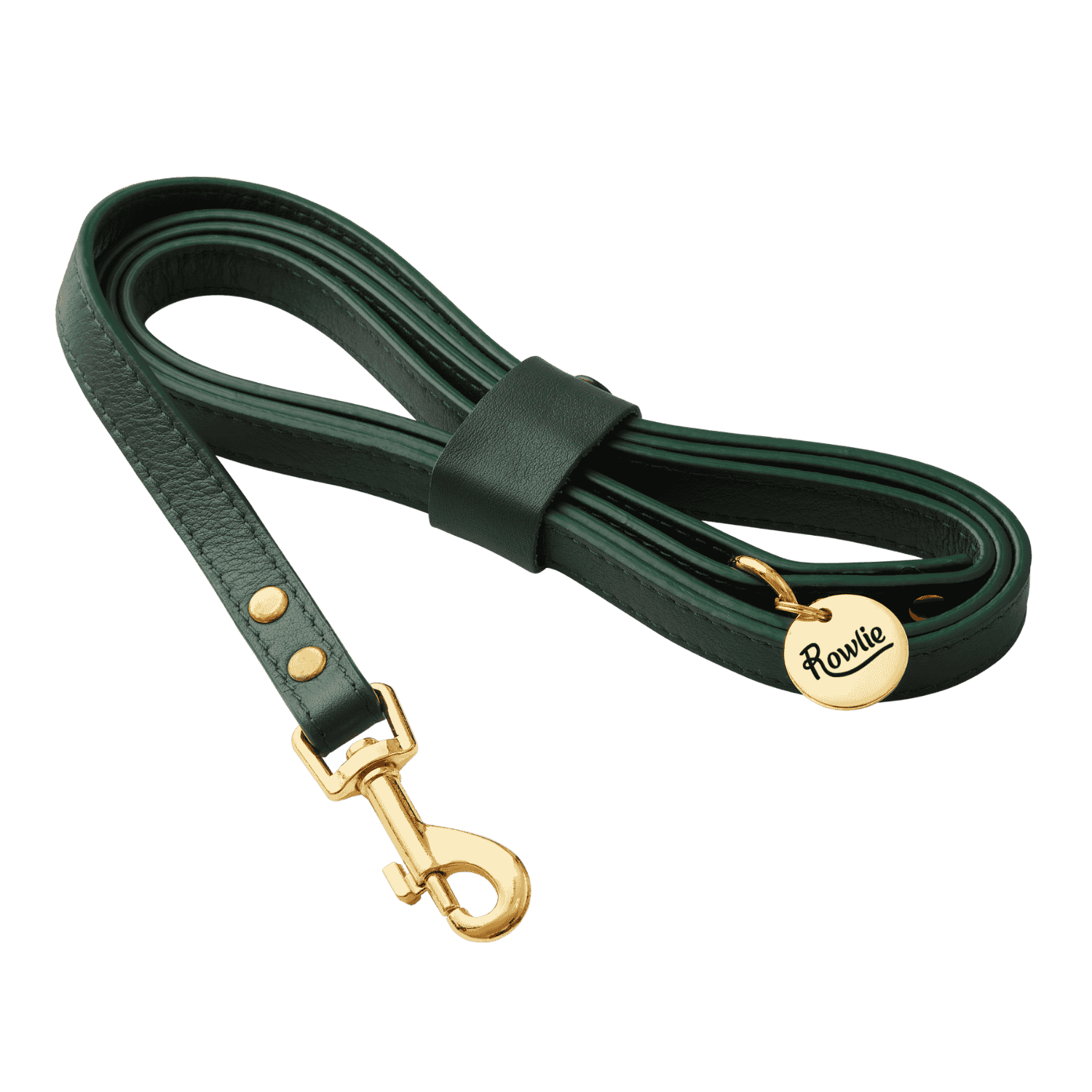 Leather Small Dog Leash - Rowlie #style_emerald-green-leather