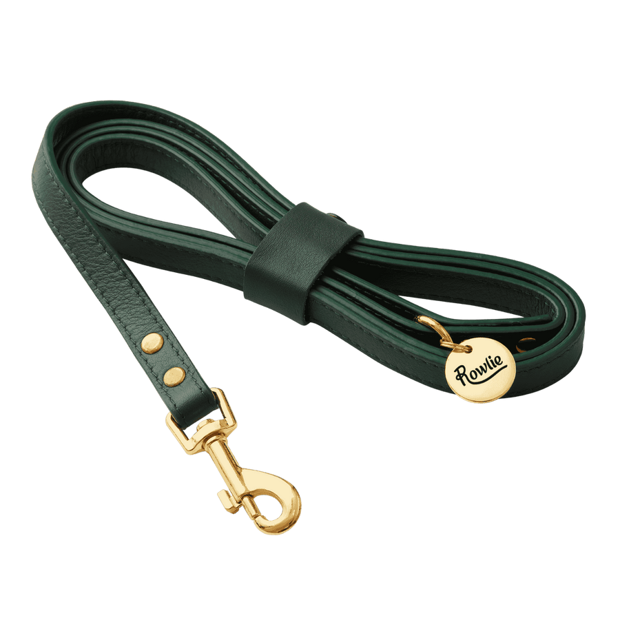 Leather Small Dog Leash - Rowlie #color_emerald-green