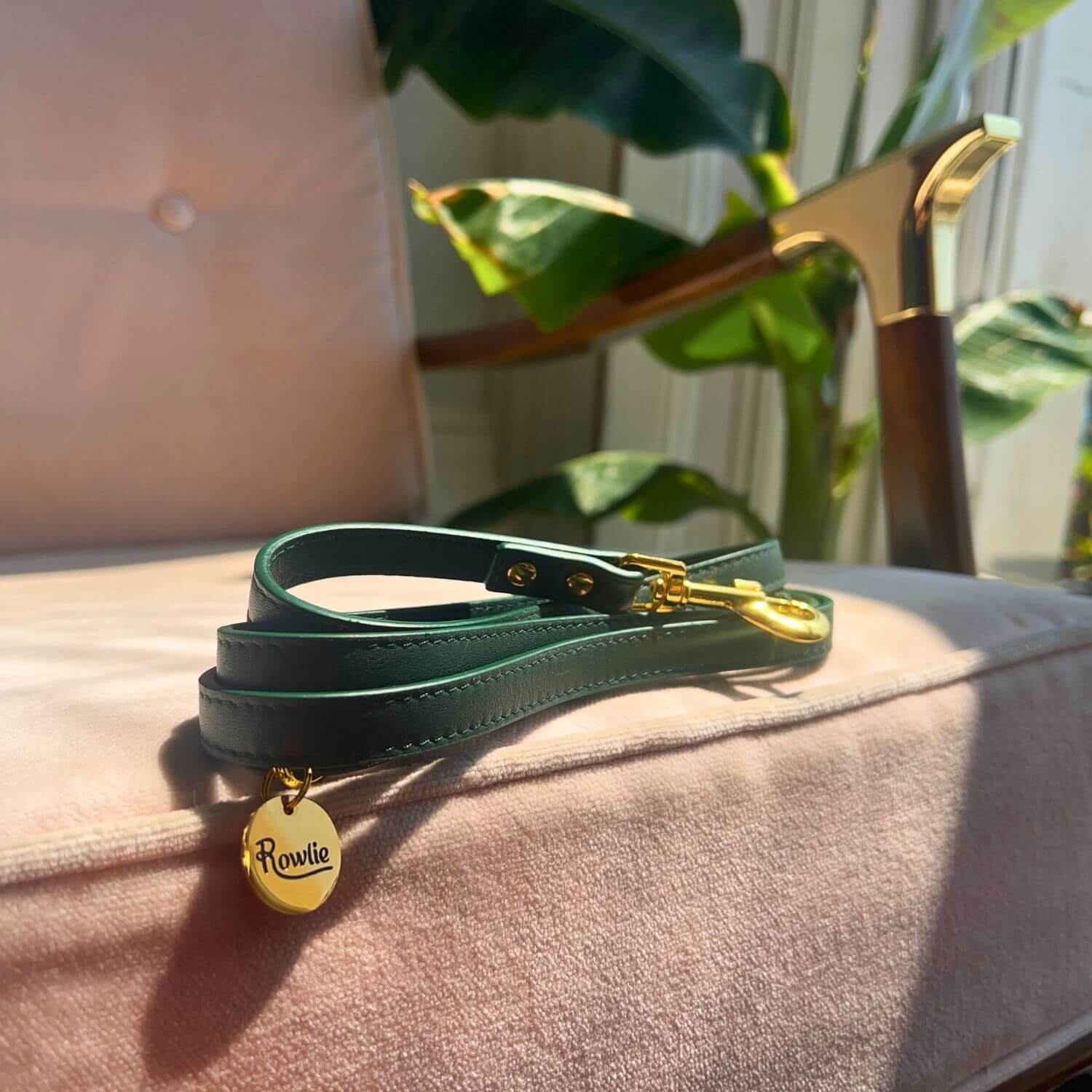 Leather Small Dog Leash #style_emerald-green-leather