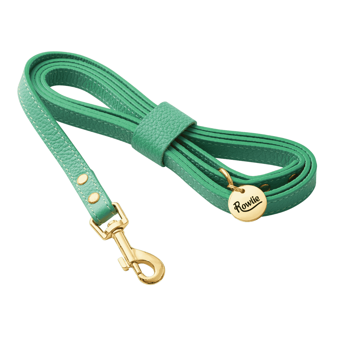 Leather Small Dog Leash - Rowlie #color_mint-green