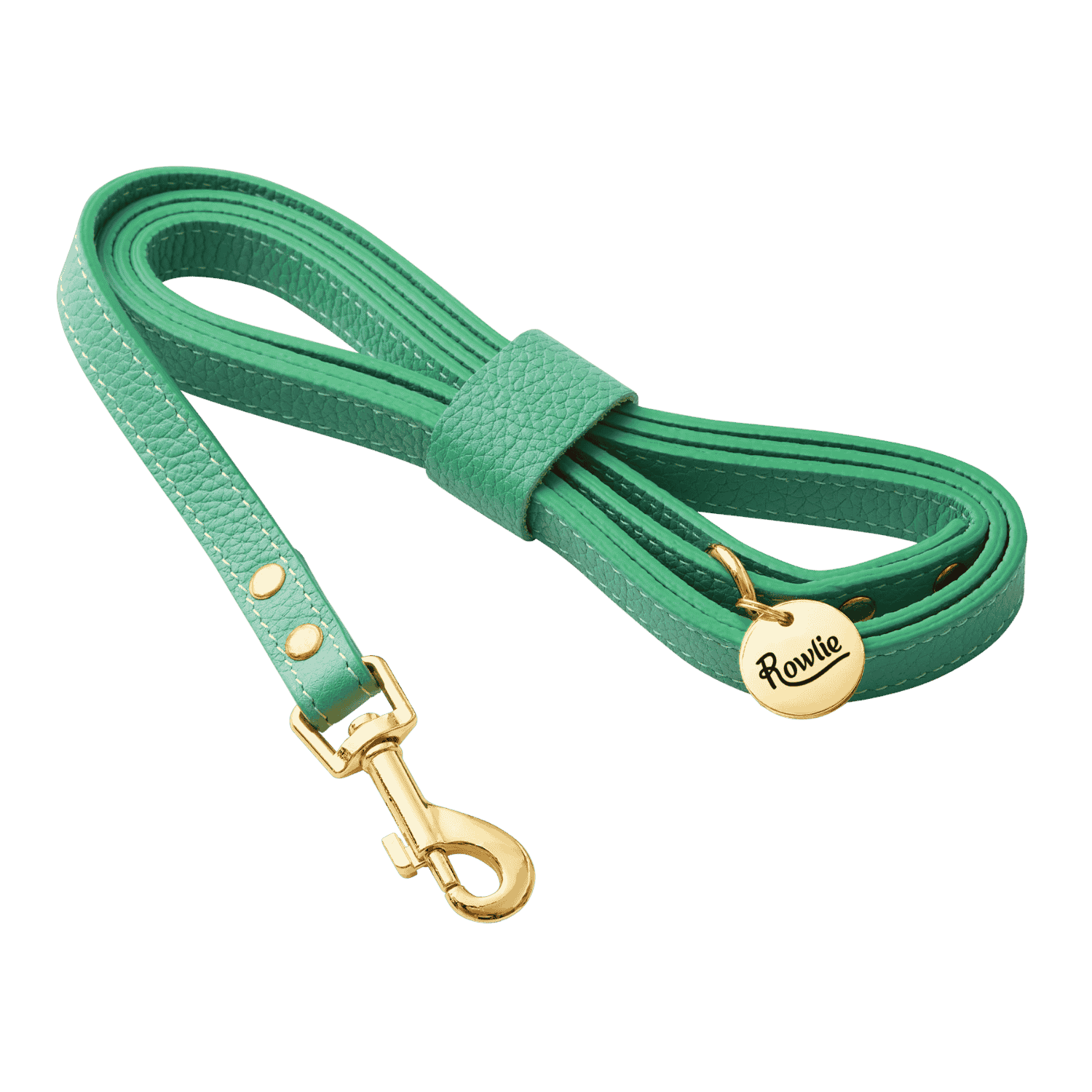 Leather Small Dog Leash - Rowlie #style_mint-green-leather