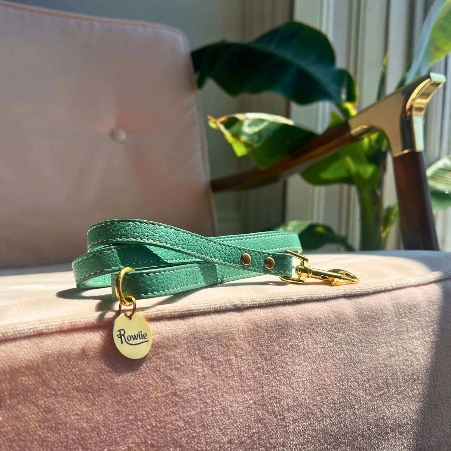 Leather Small Dog Leash - Rowlie #style_mint-green-leather