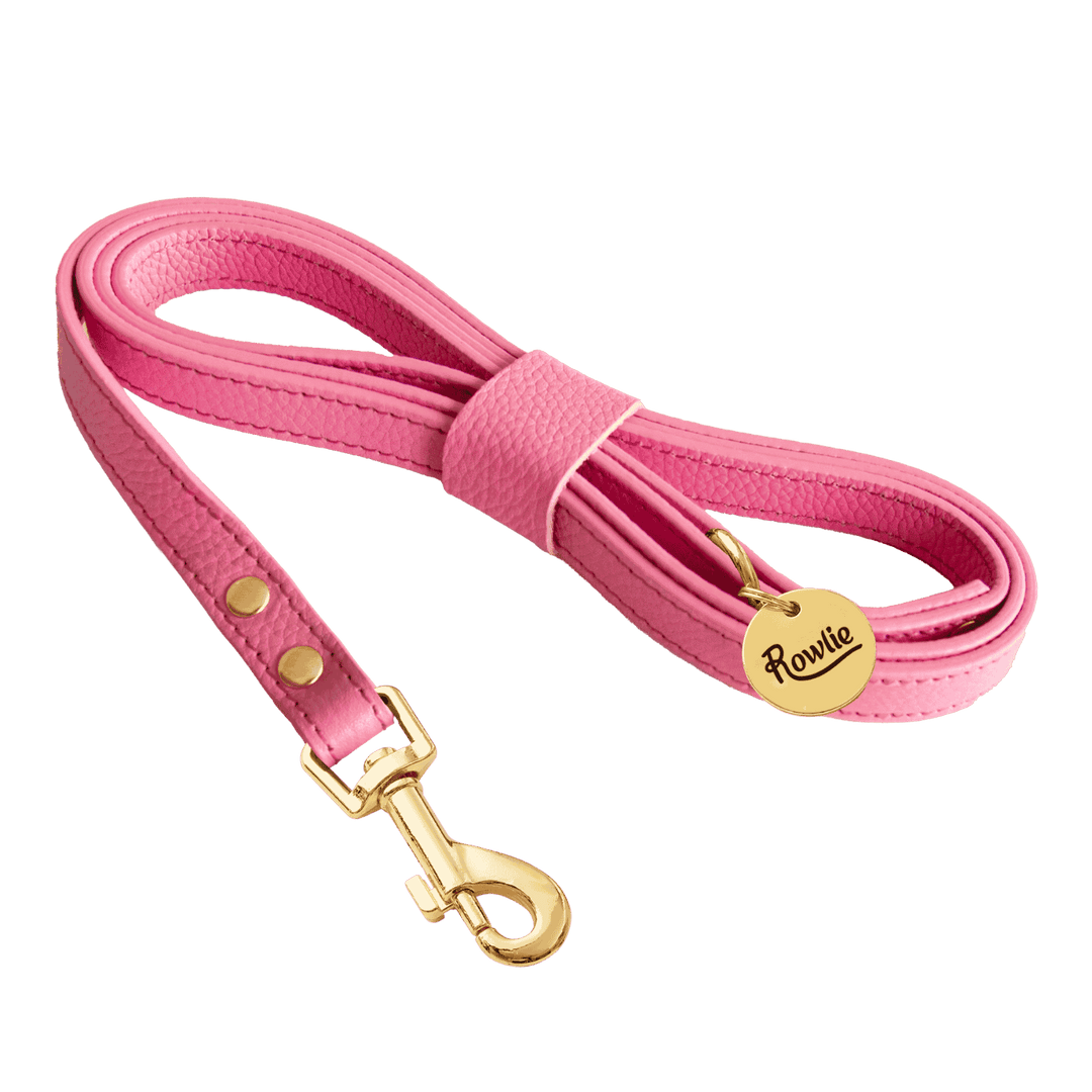 Leather Small Dog Leash - Rowlie #color_rose-pink