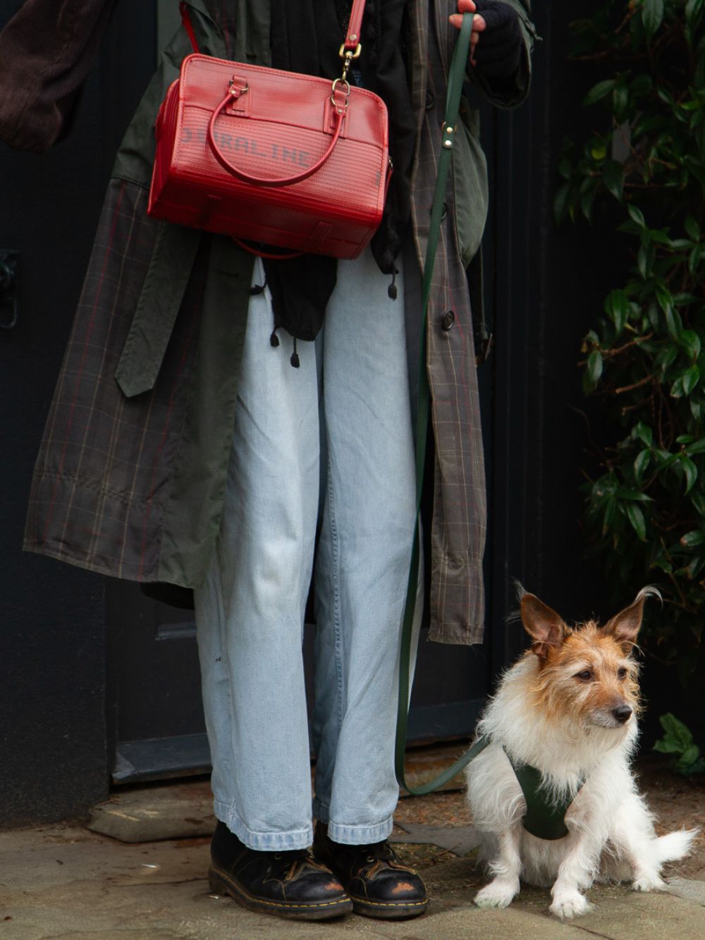 Luxury Designer Dog Accessories 