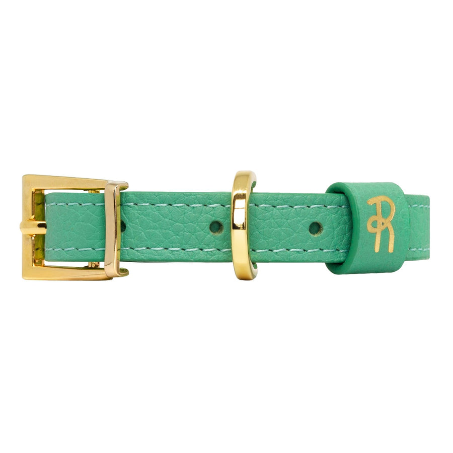 Mint Green Leather Small Dog Collar #style_mint-green-leather
