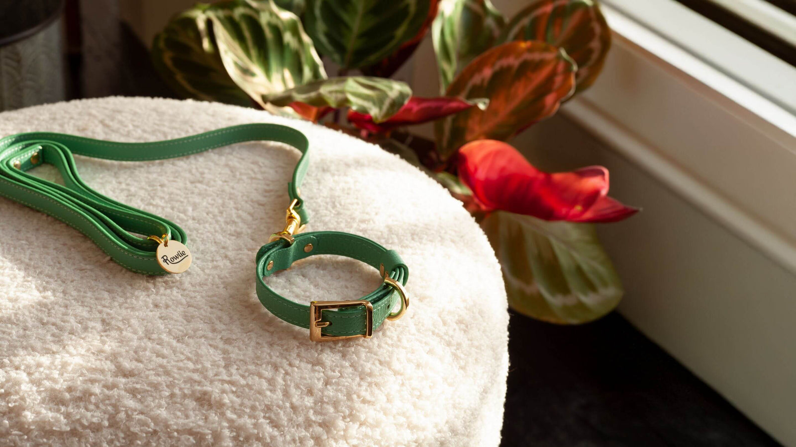 Rowlie Collars for Small Dogs