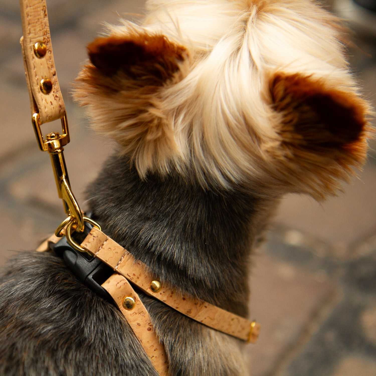 Small Dog Harness UK @Teddy (yorkshire terrier) wears size XXS #style_natural-vegan-cork