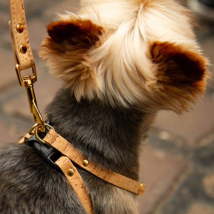 Small Dog Harness UK #color_natural