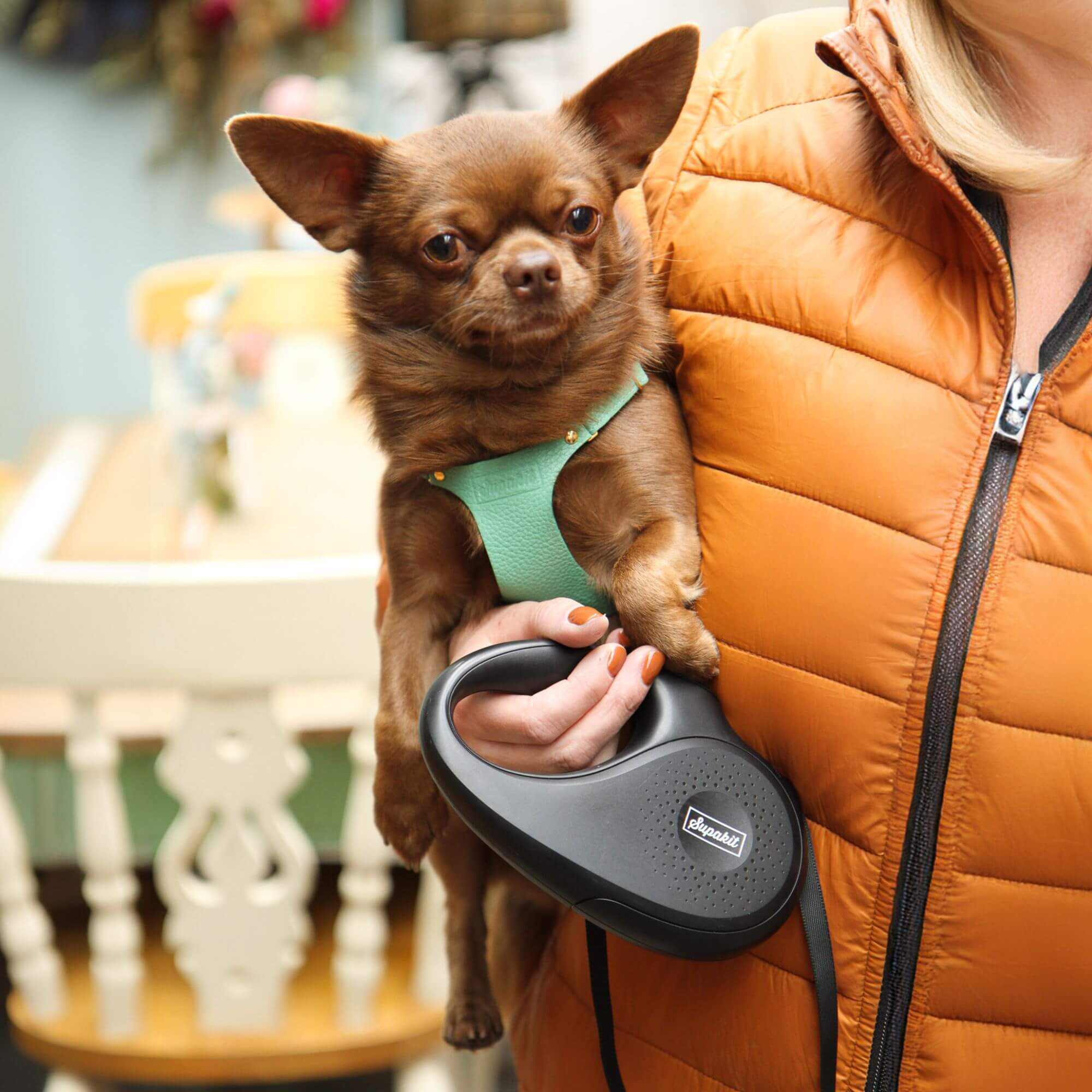 flexi dog leash small