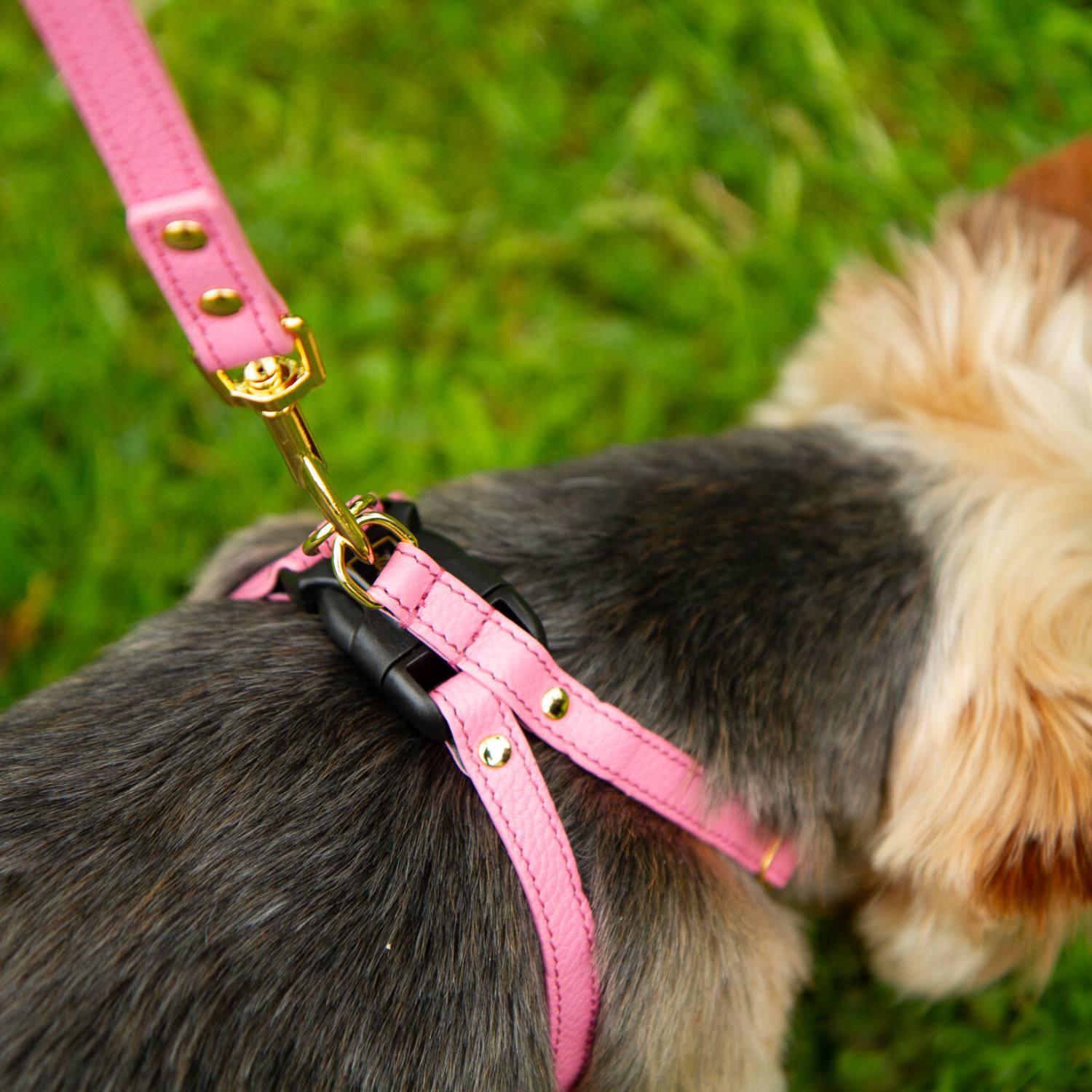 Small Dog Leash and Harness #style_rose-pink-leather