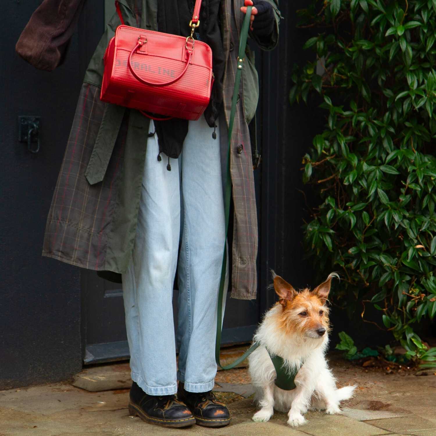 Step In Small Dog Harness @Stevie wears size S #style_emerald-green-leather