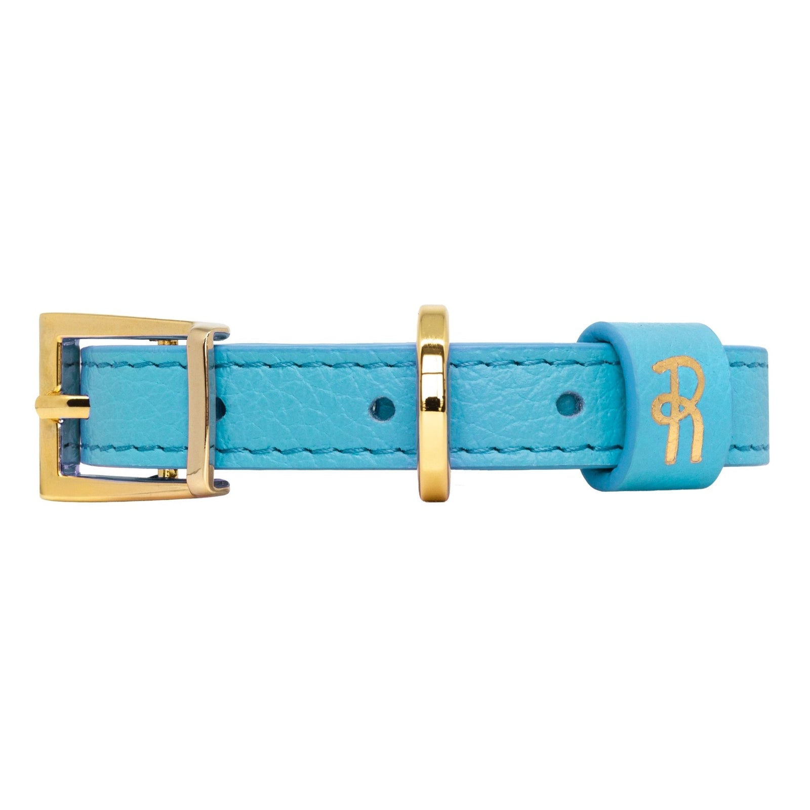 Turquoise Leather Small Dog Collar #style_azure-blue-leather
