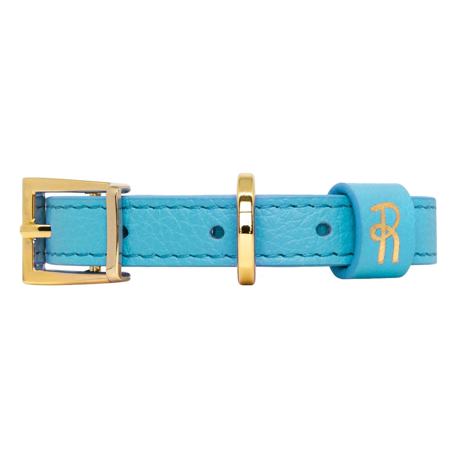 Turquoise Leather Small Dog Collar #style_azure-blue-leather