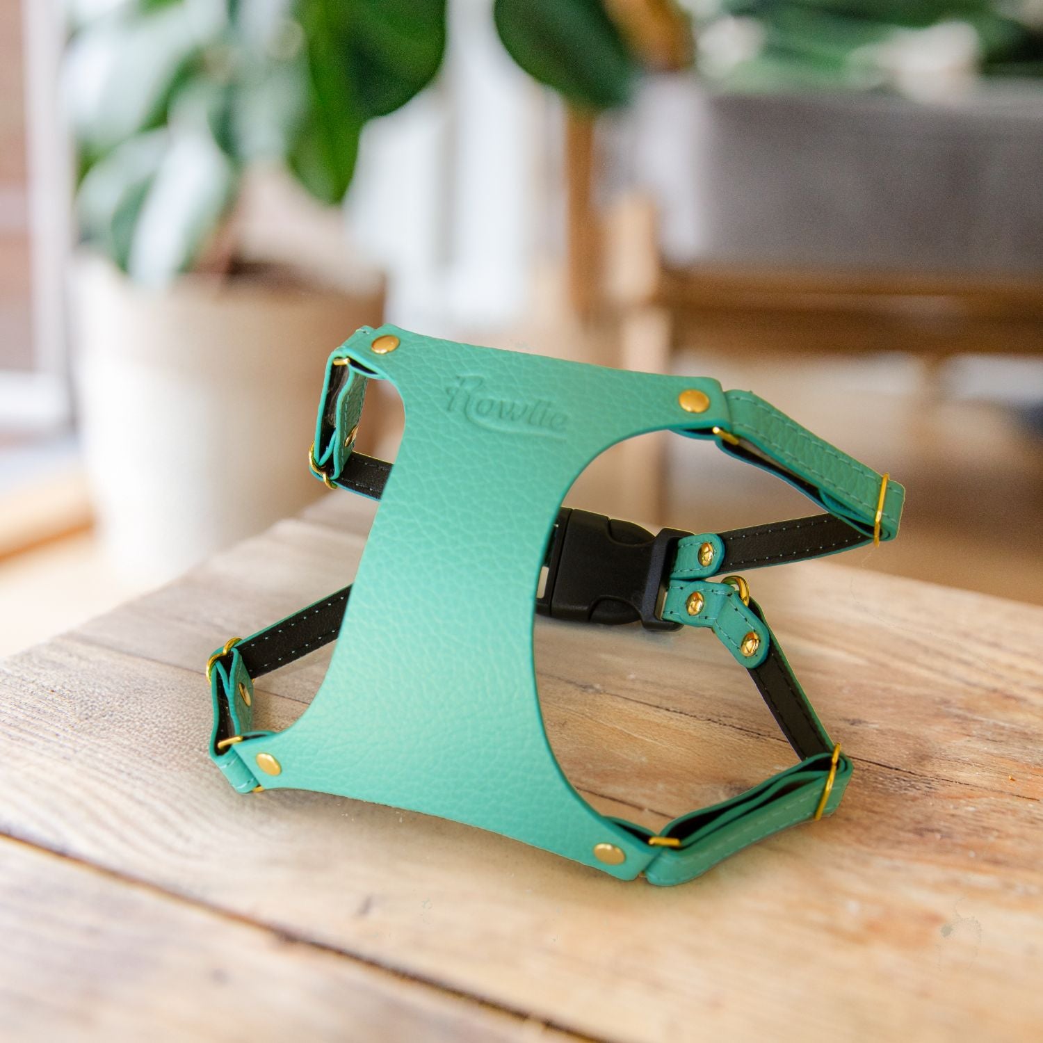 XS Dog Harness #style_mint-green-leather