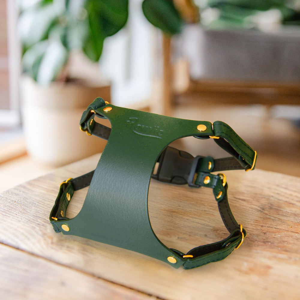 X Small Dog Harness #style_emerald-green-leather