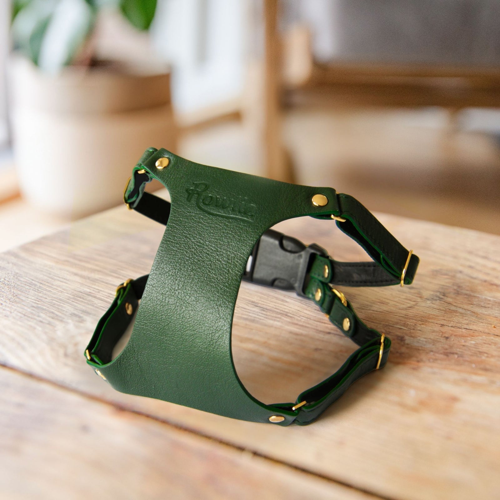 X Small Dog Harness #style_emerald-green-leather
